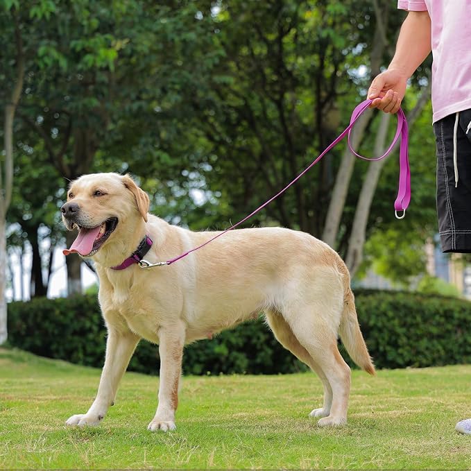 Waterproof Dog Leash, 5/6 FT Durable Odor-Proof Dog Leashes with Strong Metal Hooks Fits Small Medium or Large Dogs (Purple, 6FT - 1 inch Width)