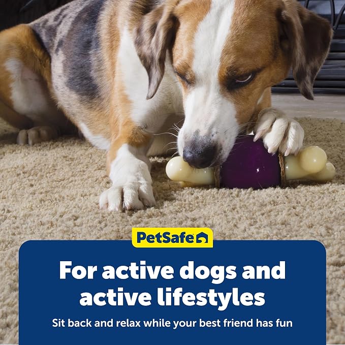 PetSafe Busy Buddy Bouncy Bone, Treat Holding Dog Toy, Medium, Best for Dogs 10-50 Lb.