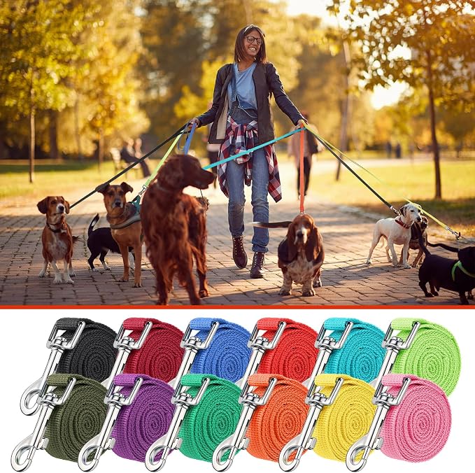 Hillban 12 Pcs Nylon Puppy Training Leash Bulk 5ft Dog Leash for House Line 12 Colors Puppy Line Traction Rope for Small Medium Dog Training, Play, Camping, or Backyard(Bright Colors)