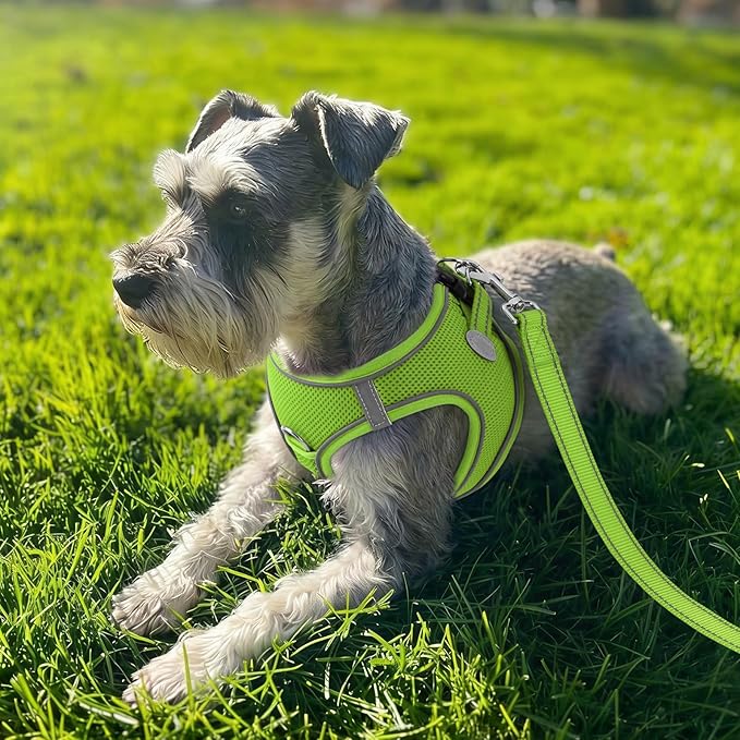 Joytale Small Dog Harness, Breathable Mesh Step-in Vest, Reflective Soft Padded Harnesses for Small and Medium Dogs, Green, M