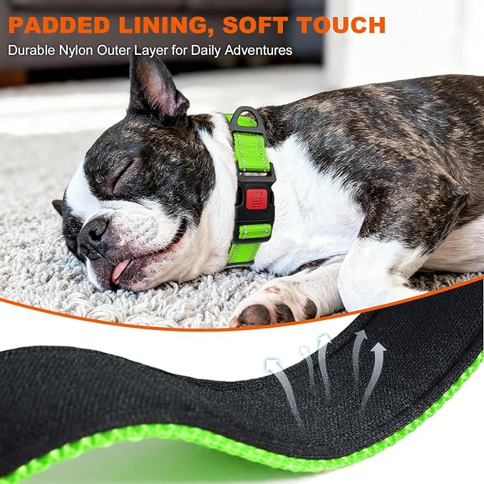 Taglory Reflective Dog Collar for Small Dogs, Soft Neoprene Padded with Escape-Proof Locking Buckle, Upgraded Zinc Alloy Ring, Adjustable Nylon Collar for Walking, Green,S
