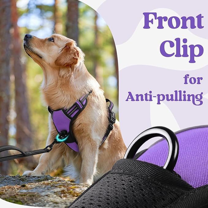 rabbitgoo Dog Harness for Large, No Pull Easy On & Off with 3 Buckles Pet Harness, Adjustable Soft Walking Vest with 2 Clips and Handle, Reflective for Extra Large Dogs, Purple, XL