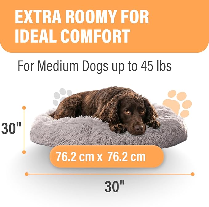 Active Pets Large Dog Bed, Calming Orthopedic Pet Bedding for Anxiety Relief, Joint Support & Comfort, Washable Dog Furniture, M 45lbs, Light Grey