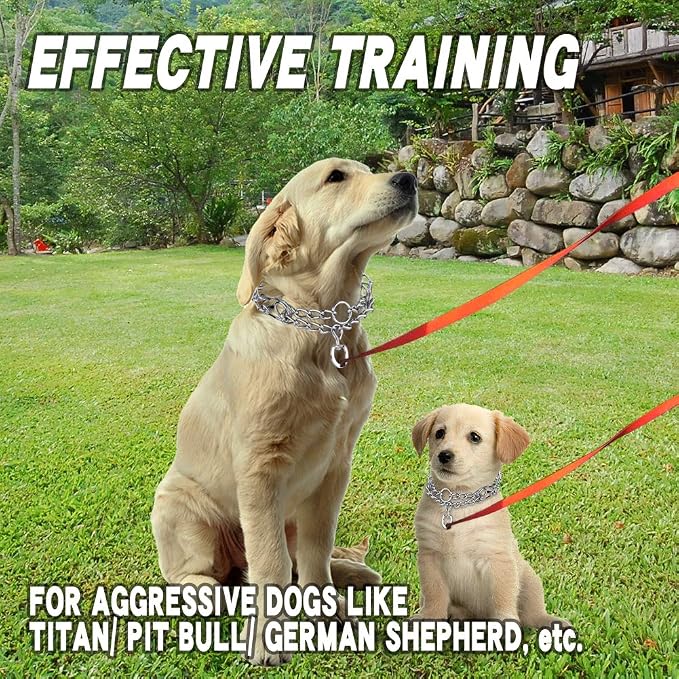Prong Collars for Dogs, No Pull Dog Collar, Dog Training Collar for Small Dogs, Stainless Steel Adjustable with Comfort Rubber Tips (Small, 2.5mm, 15.6-Inch)