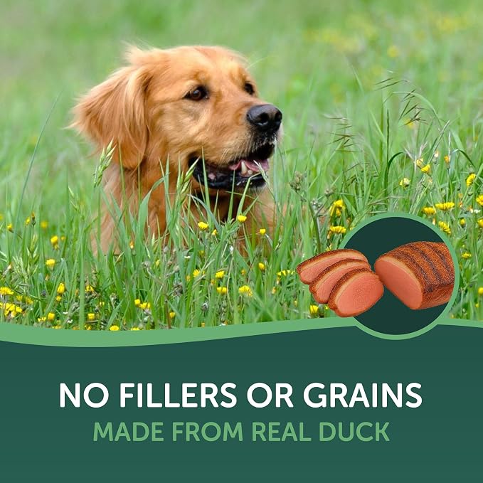 Healthfuls Duck Jerky Healthy Dog Treats – Grain Free, Real Duck Breast Fillets, No Fillers or Artificial Ingredients, All Life Stages – 16 ounces