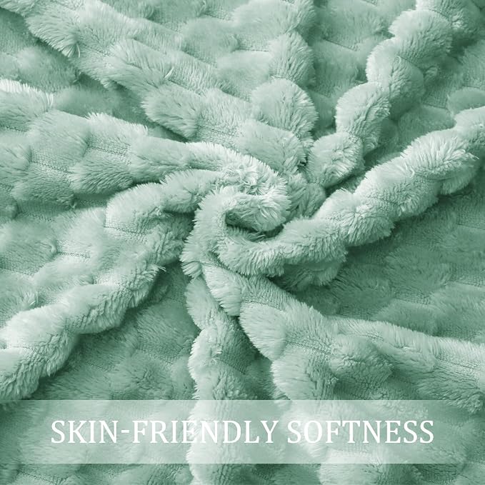 Exclusivo Mezcla Fleece Queen Blanket for Bed, Extra Large Fuzzy Sage Green Bed Blankets, Soft Cozy Plush Sofa Throws for All Seasons, 90x90 Inches