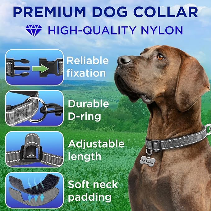 TECEUM Reflective Dog Collar – Gray – L – Extra Soft Padding – Basic Nylon Pet Collar – Quick Release Buckle – Fits Small, Medium and Large Dogs, Puppies, Cats – ESA & Service Dog Options