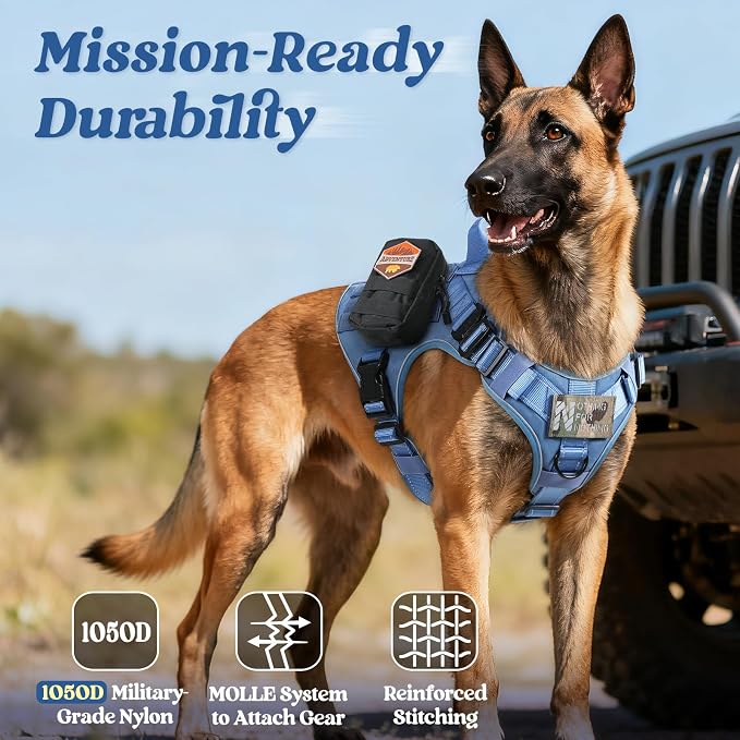 rabbitgoo Tactical Dog Harness Medium Sized, No Pull Upgraded Reflective Heavy Duty Molle Vest with Handle, Adjustable Military Service Dog Vest for Walking Hiking Training, Blue, M