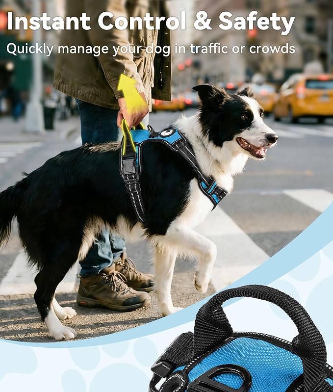 Joytale No Pull Dog Harness Medium Sized Dog, Reflective Pet Vest with Front Clip, Adjustable Soft Padded Harnesses with Easy Control Handle for Training and Walking, Sky Blue, M