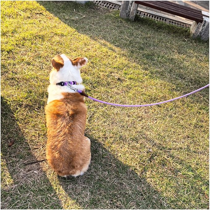 MayPaw 6/8 /10 FT Dog Leash, Classic Solid Colors, Strong Nylon Rope Dog Leash Reinforced with Leather Tailor Connection Heavy Duty Silver Clasp (Purple, 10ft*1/2")