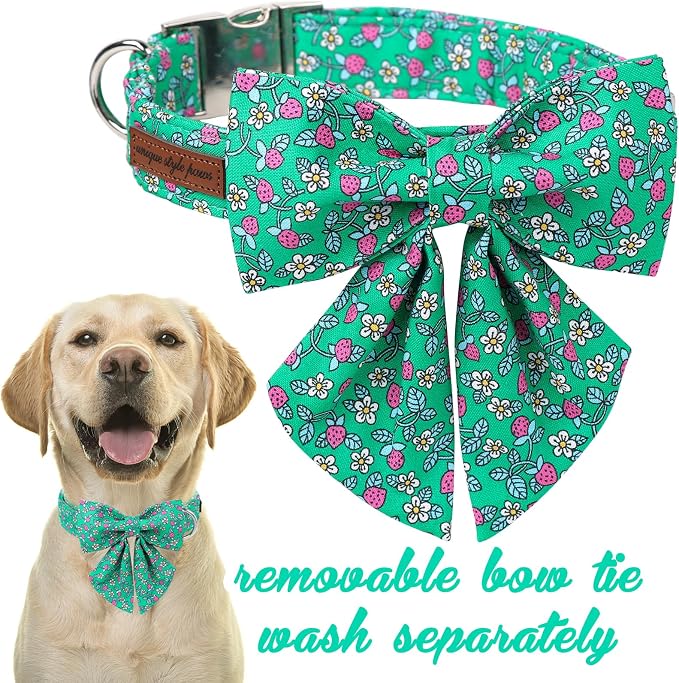 Unique style paws Cartoon Dog Collar with Bowtie Spring Summer Puppy Collar with Flower for Small Medium Large Boys Girls Dogs
