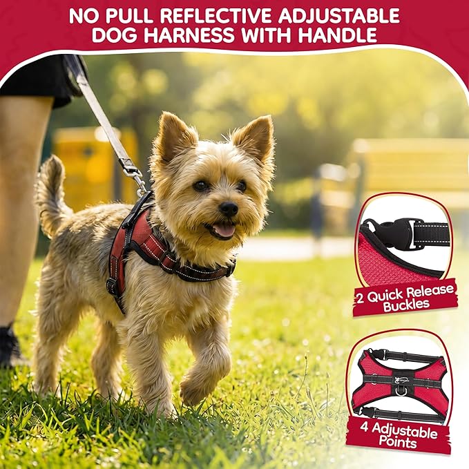 No Pull Reflective Adjustable Dog Harness with Handle- Comfortable Soft All Weather Mesh, Easy On Puppy Harness for Small Medium and Large Dogs (Red) XX-Small