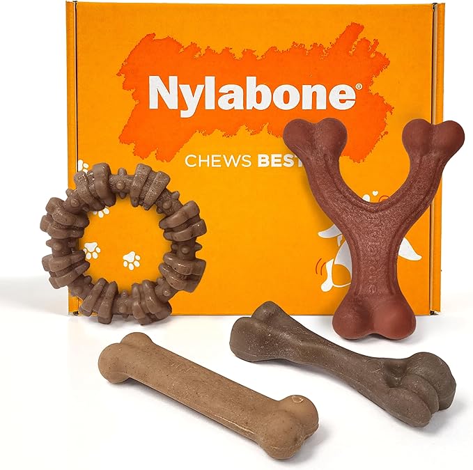 Nylabone Strong Chew Dog Toy 4-Pack Made with Real Bacon, Bison, Venison, Beef, & Chicken, Durable Chew Toys for Aggressive Chewers, Long Lasting Dog Bone, Small Breeds - Up to 25 lbs, 4 Count