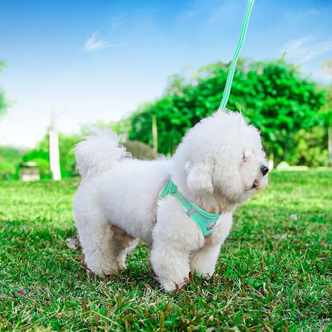 Hipubby Dog Harness and Leash Set, No Pull Soft Mesh Puppy Harness for Small Medium Dogs, Cats - Step in Reflective Breathable Lightweight Vest Harness for Walking, Training - Green, XXS