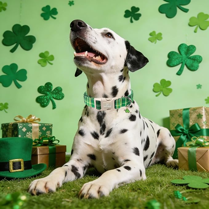 Maca Bates Spring Green Dog Collar with Clover Charm,Irish Plaid Pattern for Large Girl Boy Dogs, Adjustable Durable Soft Gingham Collars for Male Female Puppy