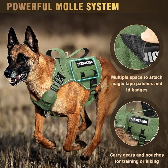 WINSEE Tactical Dog Harness for Large Dog, Heavy Duty Service Dog MOLLE Vest with 10 Pet Patches, No Pull Military Working Vest for Training Hunting Walking