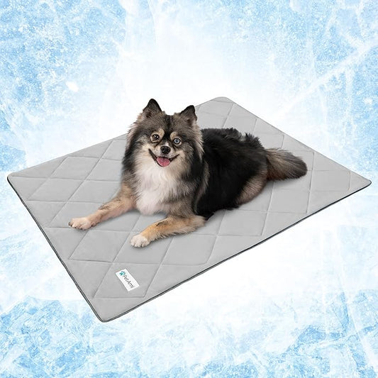 PetAmi Premium Cooling Dog Blanket | Lightweight Fluffy Pet Throw Blanket Bed Cover for Dogs, Cat, Puppies | Pet Blanket Furniture Protector Couch Sofa | Reversible Fuzzy Cozy | 24x32, Light Grey
