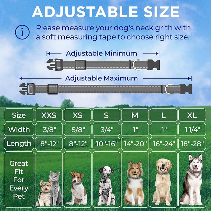 TECEUM Reflective Dog Collar – Gray – L – Extra Soft Padding – Basic Nylon Pet Collar – Quick Release Buckle – Fits Small, Medium and Large Dogs, Puppies, Cats – ESA & Service Dog Options