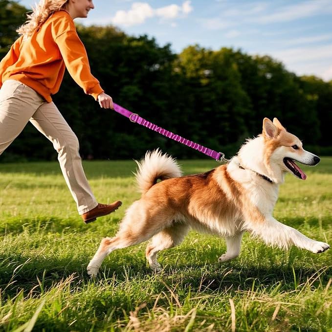 2 FT Bungee Dog Leash, Reflective Strong Nylon Short Traffic Leash, Shock Absorbing Training Lead for Large Medium Dogs Walking Controlling (2ft, Purple)