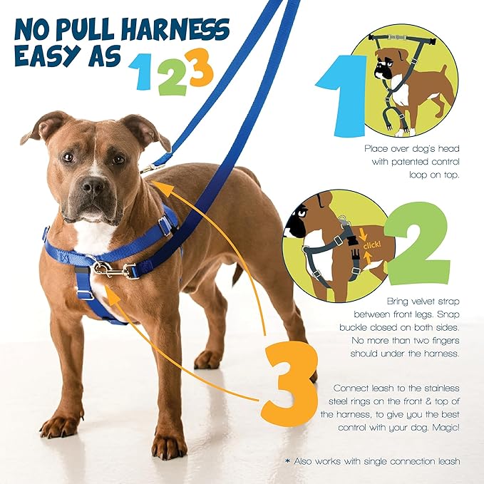 2 Hounds Design Freedom No Pull Dog Harness, Adjustable Harness and Leash Set, Easy Walking & Comfortable Control, Fits Small, Medium & Large Dogs, Solid Colors, Made in USA, 1" XXL, Yellow