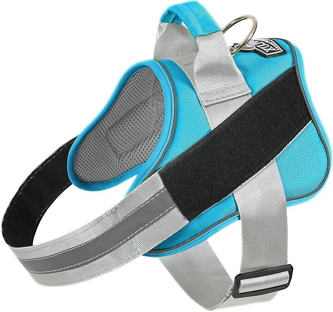 Dog Harness, No-Pull Reflective Dog Vest, Breathable Adjustable Pet Harness with Handle for Outdoor Walking - No More Pulling, Tugging or Choking (OceanicBlue, X-Small (Pack of 1))