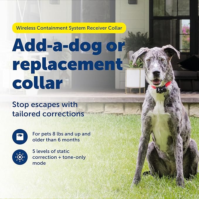 PetSafe Wireless Pet Fence Containment System Receiver Collar Only for Dogs and Cats Over 5 lb., Waterproof with Tone and Static Correction - from The Parent Company of Invisible Fence Brand