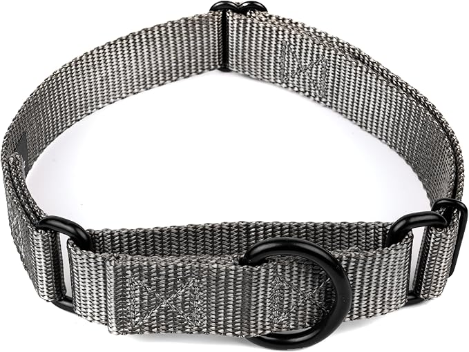 Country Brook Petz - Martingale Dog Collar - Heavy-Duty Training Collar with No Buckle - Service Dog Collar for All Pups - 20 Vibrant Colors (Charcoal, 3/4 Inch, Small)