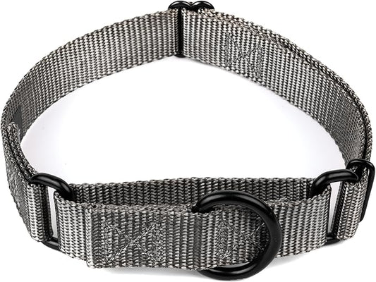 Country Brook Petz - Martingale Dog Collar - Heavy-Duty Training Collar with No Buckle - Service Dog Collar for All Pups - 20 Vibrant Colors (Charcoal, 3/4 Inch, Small)