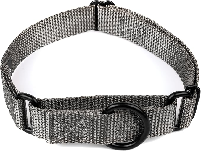 Country Brook Petz - Martingale Dog Collar - Heavy-Duty Training Collar with No Buckle - Service Dog Collar for All Pups - 20 Vibrant Colors (Charcoal, 5/8 Inch, Extra Small)