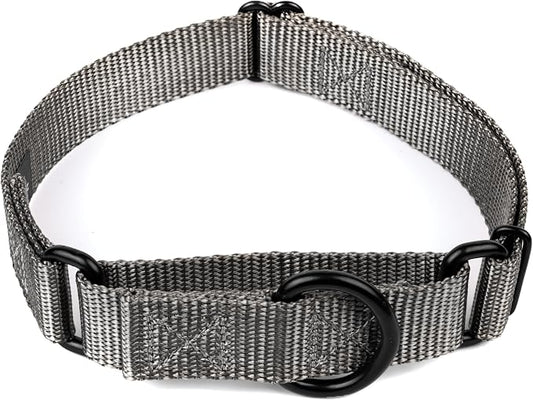 Country Brook Petz - Martingale Dog Collar - Heavy-Duty Training Collar with No Buckle - Service Dog Collar for All Pups - 20 Vibrant Colors (Charcoal, 5/8 Inch, Extra Small)