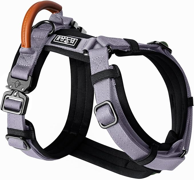 MADE TO ROAM Premium Explorer Harness - Y-Shaped Dog Harness with Adjustable Durable Nylon, Soft Padding, Metal Buckles and Leather Handle for Small, Medium, Large Dogs (Montana Moonrise, Size 7)