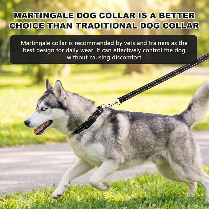 Hikiko Martingale Collar for Dogs Reflective Nylon Puppy Dog Collar with Quick Release Buckle Adjustable Training No Slip Dog Collar (X-Small, Black)