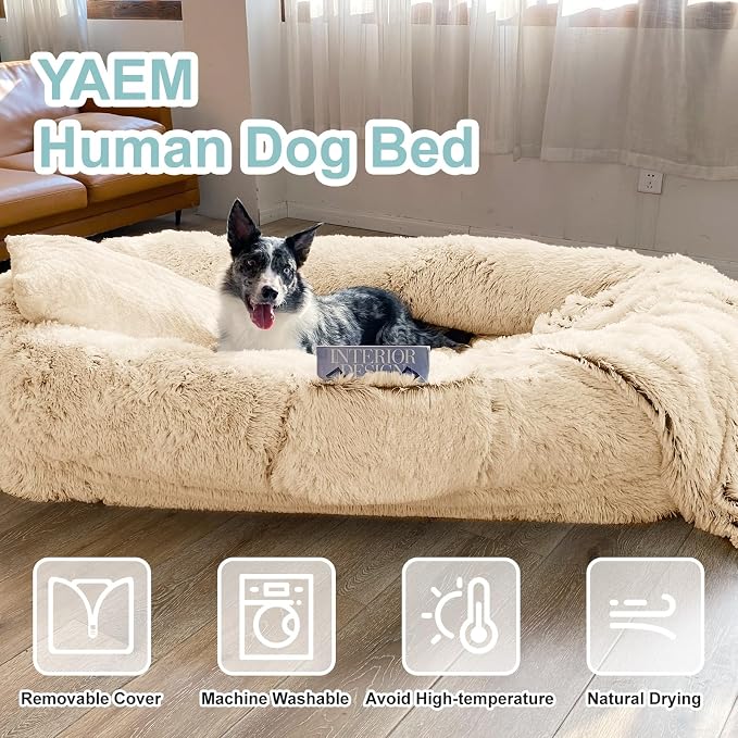 YAEM Human Dog Bed for Adult and Pets - 71"x45"x12" Washable Faux Fur People Dog Beds for Humans, Orthopedic Human Sized Pet Bed with Plump Pillow, Blanket, Beige