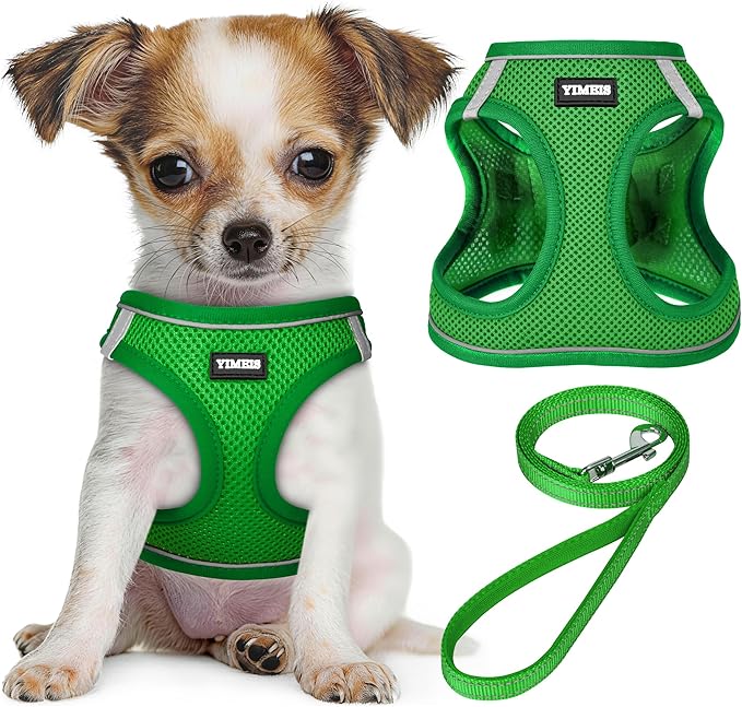 YIMEIS Dog Harness and Leash Set, No Pull Soft Mesh Pet Harness, Reflective Adjustable Puppy Vest for Small Medium Large Dogs, Cats (Green, Medium (Pack of 1)