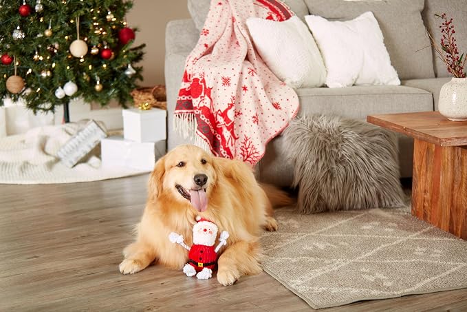 Pearhead The Real Santa Claus Holiday Dog Toy, Durable Corduroy Rope Toy, Stuffed Plush Chew Toy with Loud Squeaker, Christmas Stocking Stuffer for Pets