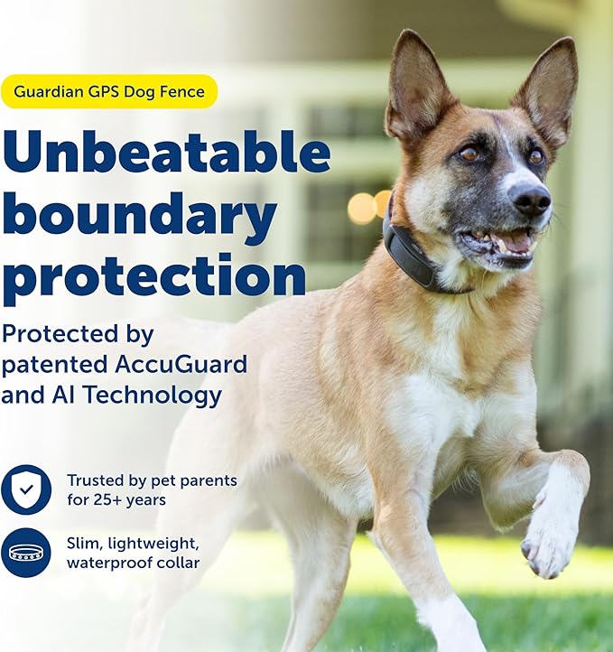 PetSafe Guardian GPS Dog Fence No Subscription Create Your Own Wireless Dog Fence Single-Yard Fence for Yards 3/4 Acres or Larger World's Safest GPS Dog Fence Tech New, Redesigned Collar