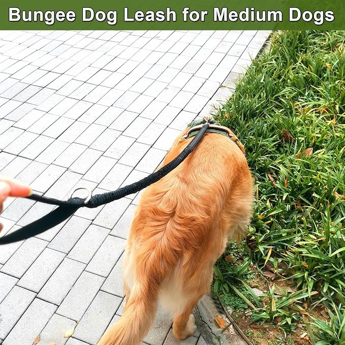 WYuZe 4 FT Bungee Dog Leash for Strong Puppy Medium Dogs - Reflective, Shock Absorbing, Elastic Nylon Leash with Padded Handle for Safety Comfort No Pull Walking Training (Black, 3/4"-Wide)
