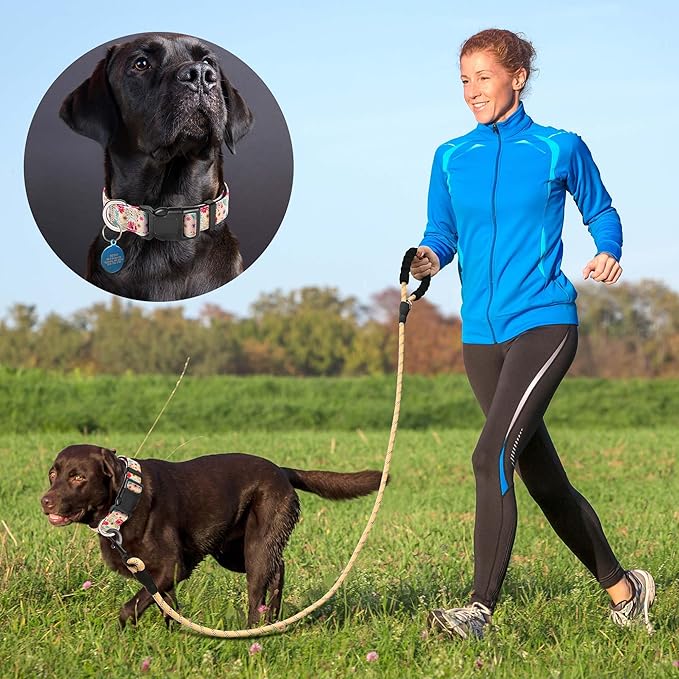 Ladoogo Reflective Dog Collar Padded with Soft Neoprene Breathable Adjustable Nylon Dog Collars for Small Medium Large Dogs (Small (Pack of 1), Vanila/Pink Floral Collar+Leash)