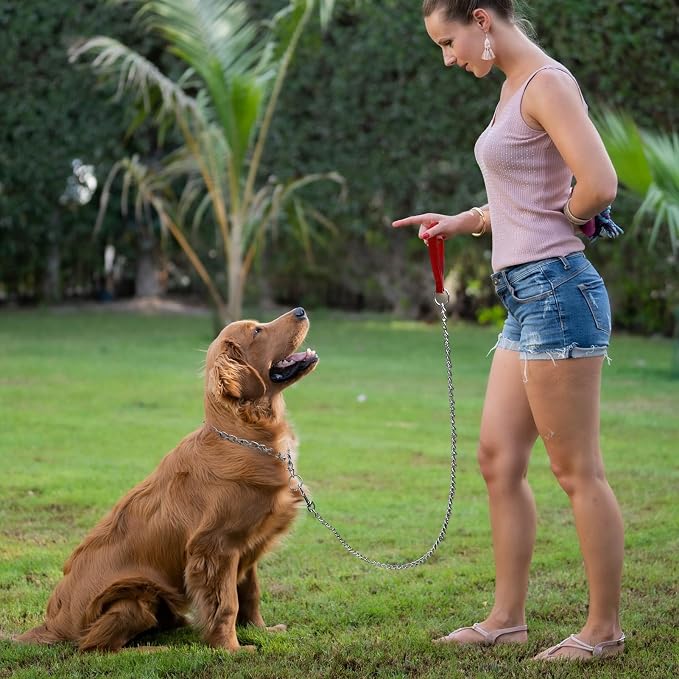 Chain Dog Leash with Padded Handle, Durable Chew Proof for Medium and Large Dogs (4 ft x 3.0 mm)