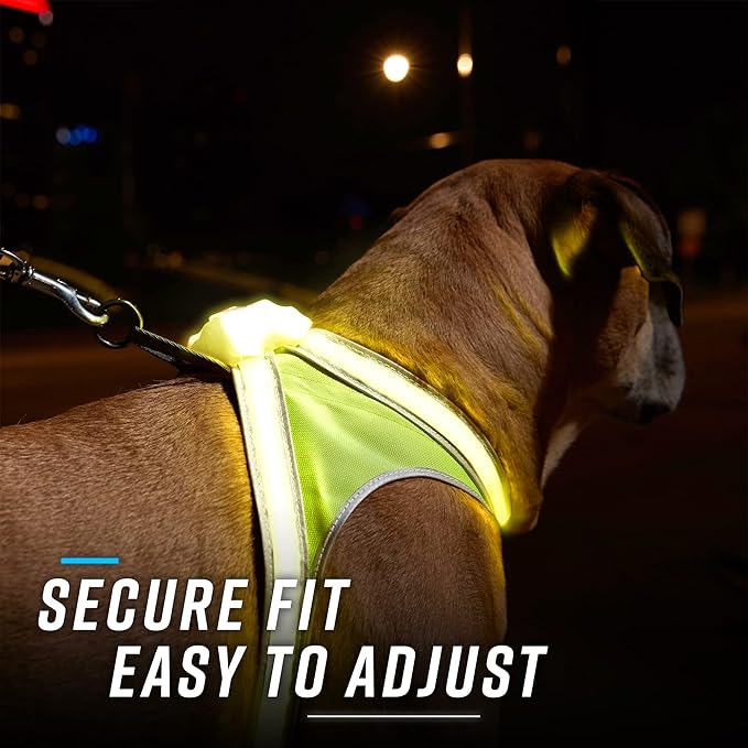 Noxgear LightHound (X-Large) + High-Visibility Dog Leash – Illuminated and Reflective Harness for Dogs Including Multicolored LED Fiber Optics (USB Rechargeable, Adjustable, Lightweight, Rainproof)