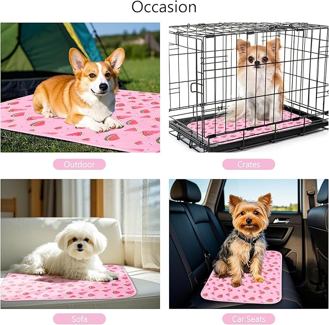 DELIFUR Dog Cooling Mat- Pet Cooling Mat Outdoor for Dogs Ice Pad for Puppy Small Medium Dog Machine Washable (Large, Pink Watermelon)