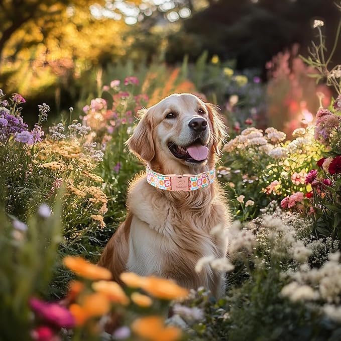 Spring Dog Collar, Pastel Checkered Flowers Pet Collar with Metal Buckle, Durable Adjustable Designer Dog Collars for Small Medium Large Dogs M