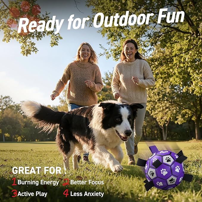 QDAN Soccer Ball for Dogs - Durable Large Dog Balls, Outdoor & Water Toy, Herding Ball, Puppy Birthday Gift (8 Inch)