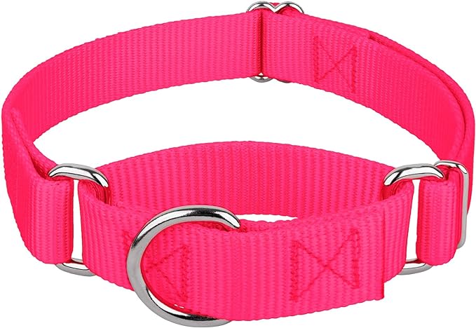 Country Brook Petz - Martingale Dog Collar - Heavy-Duty Training Collar with No Buckle - Service Dog Collar for All Pups - 20 Vibrant Colors (Hot Pink, 1 Inch, Large)