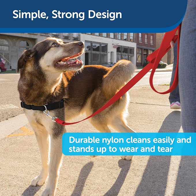 PetSafe Nylon Dog Leash Strong, Durable, Traditional Style Lead with Easy to Use Bolt Snap for Small, Medium and Large Dogs 3/8" x 6', Red