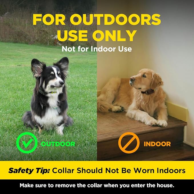 Dogtra Training Flags for GPS Fence/SMART Fence – 50-Pack Neon Orange Boundary Markers – Flexible, Weather-Resistant Yard Flags for Wireless Fence Training, Pet Containment, Safe Outdoor Setup