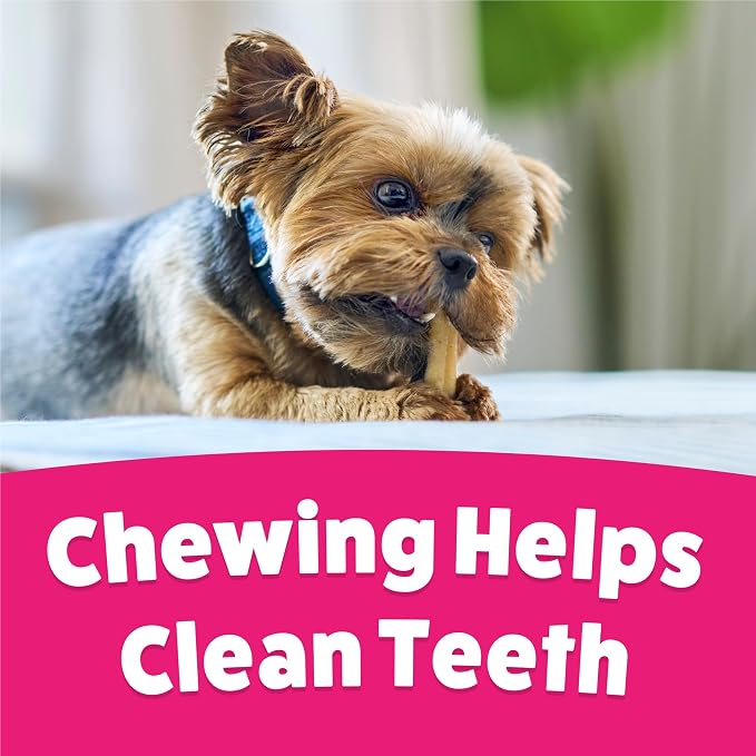 Purina Busy Bone Adult Toy Breed Dog Chew Bone Treats, Tiny - 30 ct. Pouch