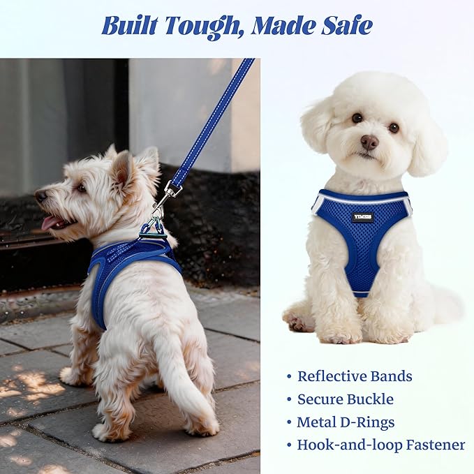 YIMEIS Dog Harness and Leash Set, No Pull Soft Mesh Pet Harness, Reflective Adjustable Puppy Vest for Small Medium Large Dogs, Cats (Royal Blue, Medium (Pack of 1)