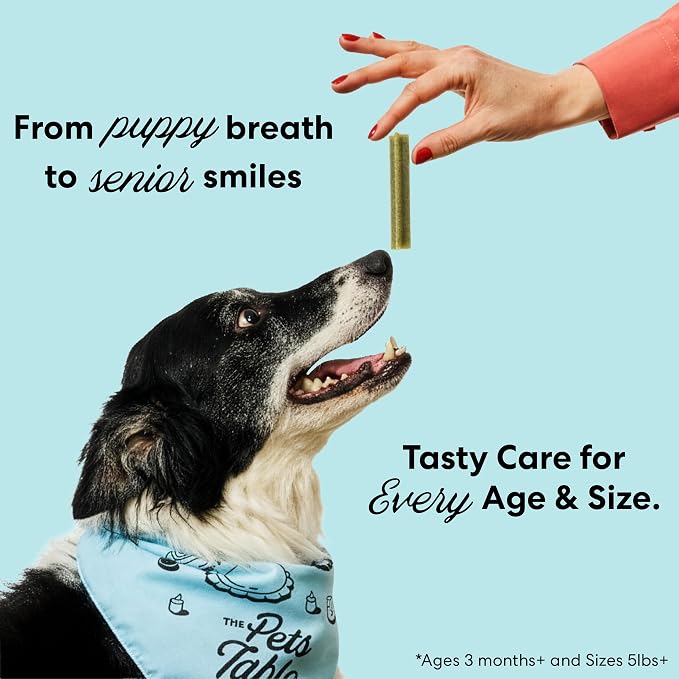 The Pets Table Dental Chews for Dogs 28 Sticks (20 oz), Chicken, Mint & Parsley | Dental Treats/Teeth Cleaning Chews | Removes Plaque and Tarter | Dental Sticks for Bad Breath Treatment | Dental Bones