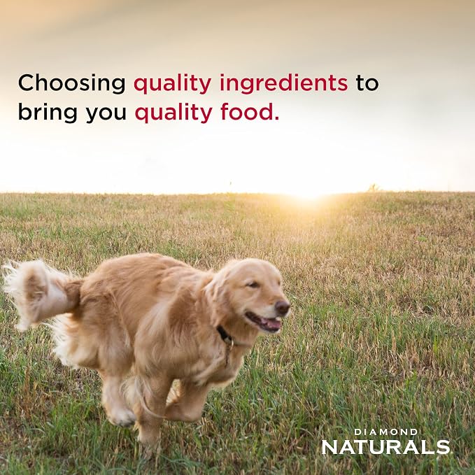Diamond Naturals Adult Dry Dog Food Lamb Meal and Rice Formula Made with Lamb Protein, Probiotics and Essential Nutrients to Support Balanced and Overall Health 20LB